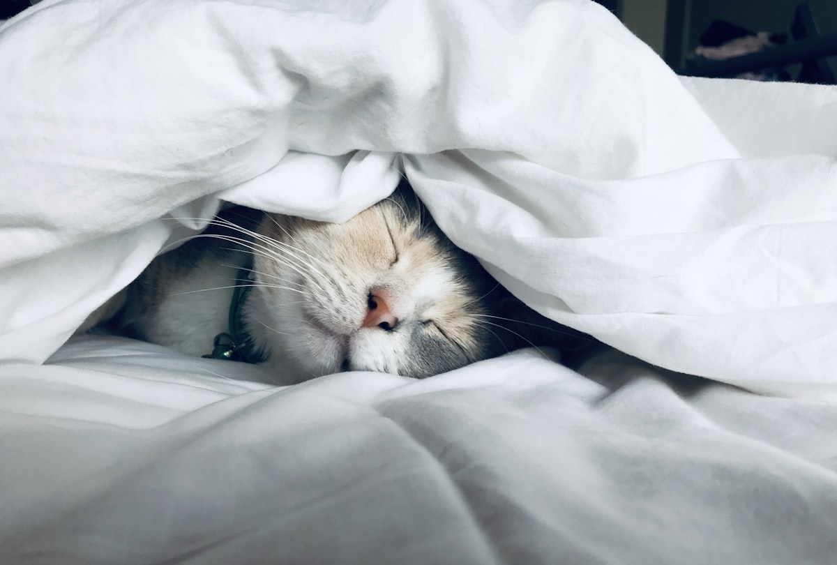 Woman sleeping peacefully, representing sleep health